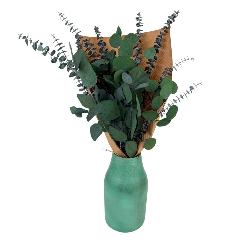 Preserved Silver Dollar & Baby Eucalyptus Bundle