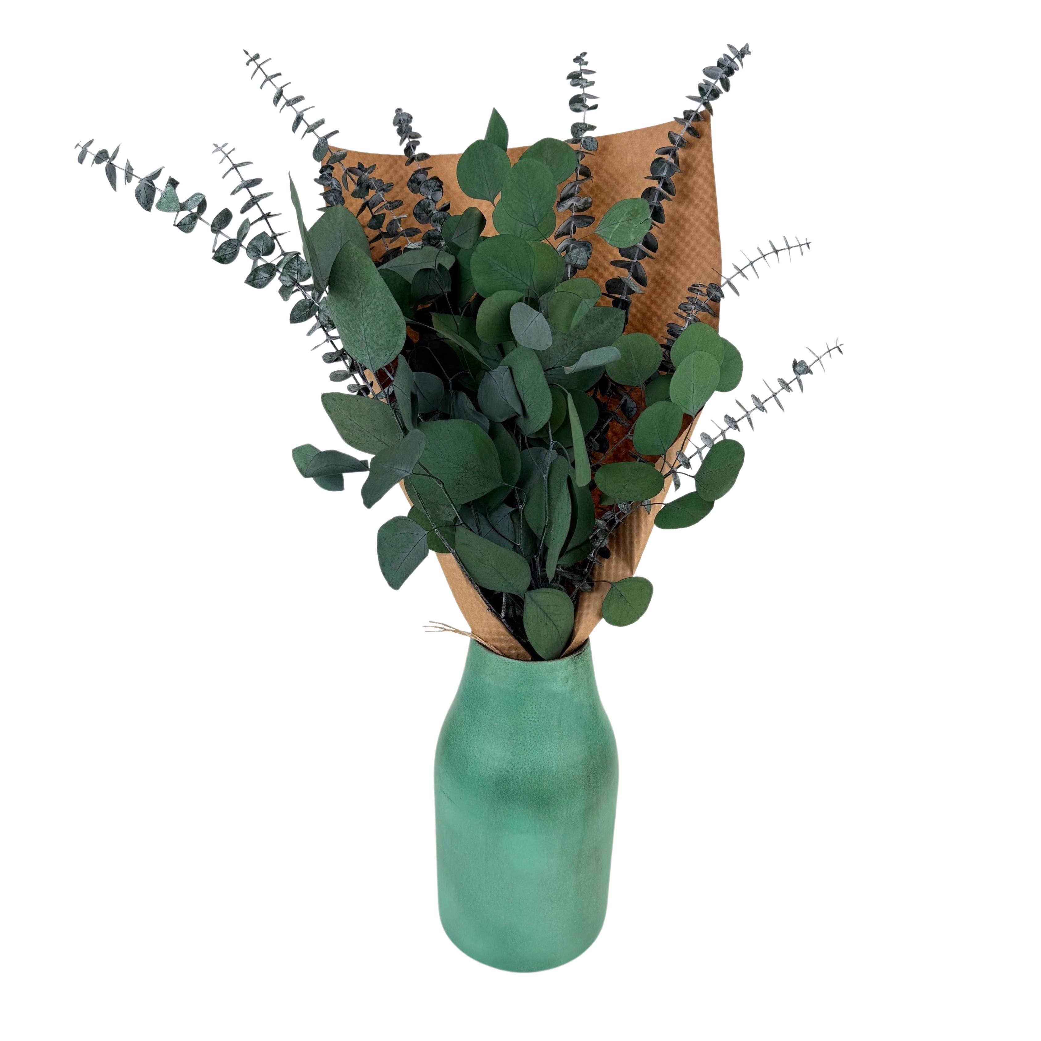 Preserved Silver Dollar & Baby Eucalyptus Bundle