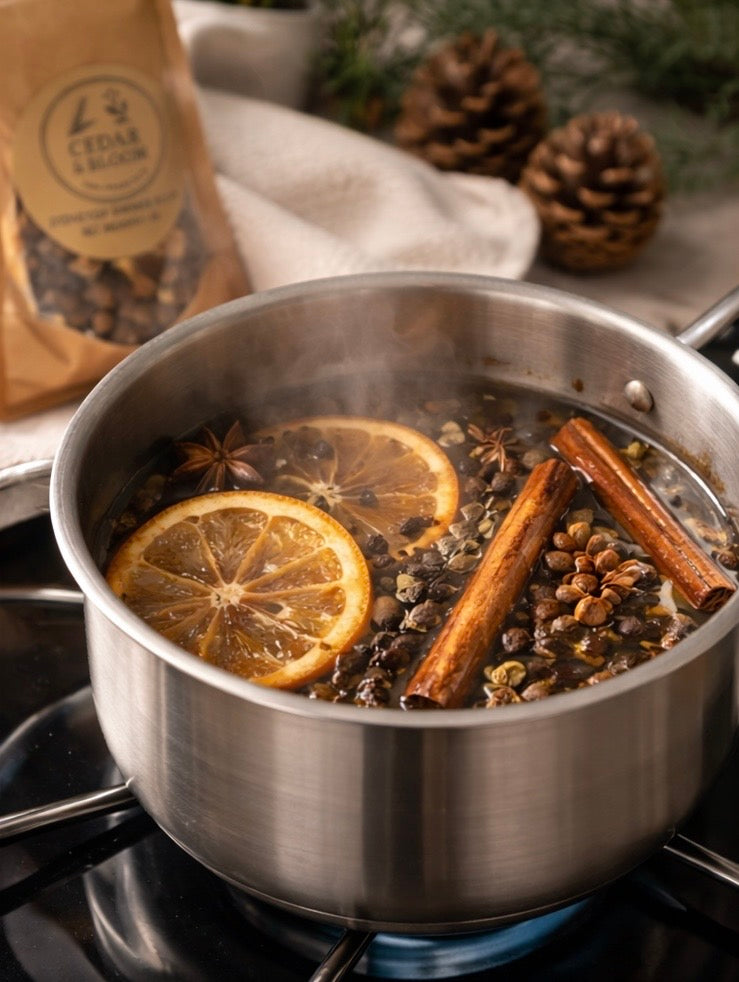 Holiday Simmer Pot Spice Packets